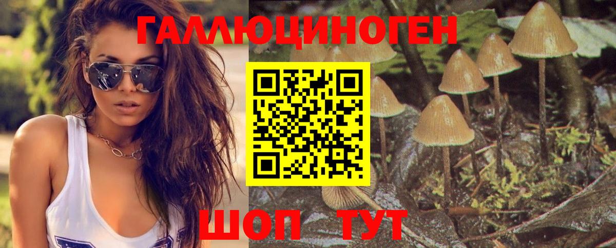 Стерлитамак  Галлюциногенные грибы ЛСД  Галлюциногенные грибы GOLDEN TEACHER  Вход с VPN 