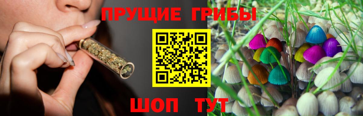 Галлюциногенные грибы мицелий Стерлитамак